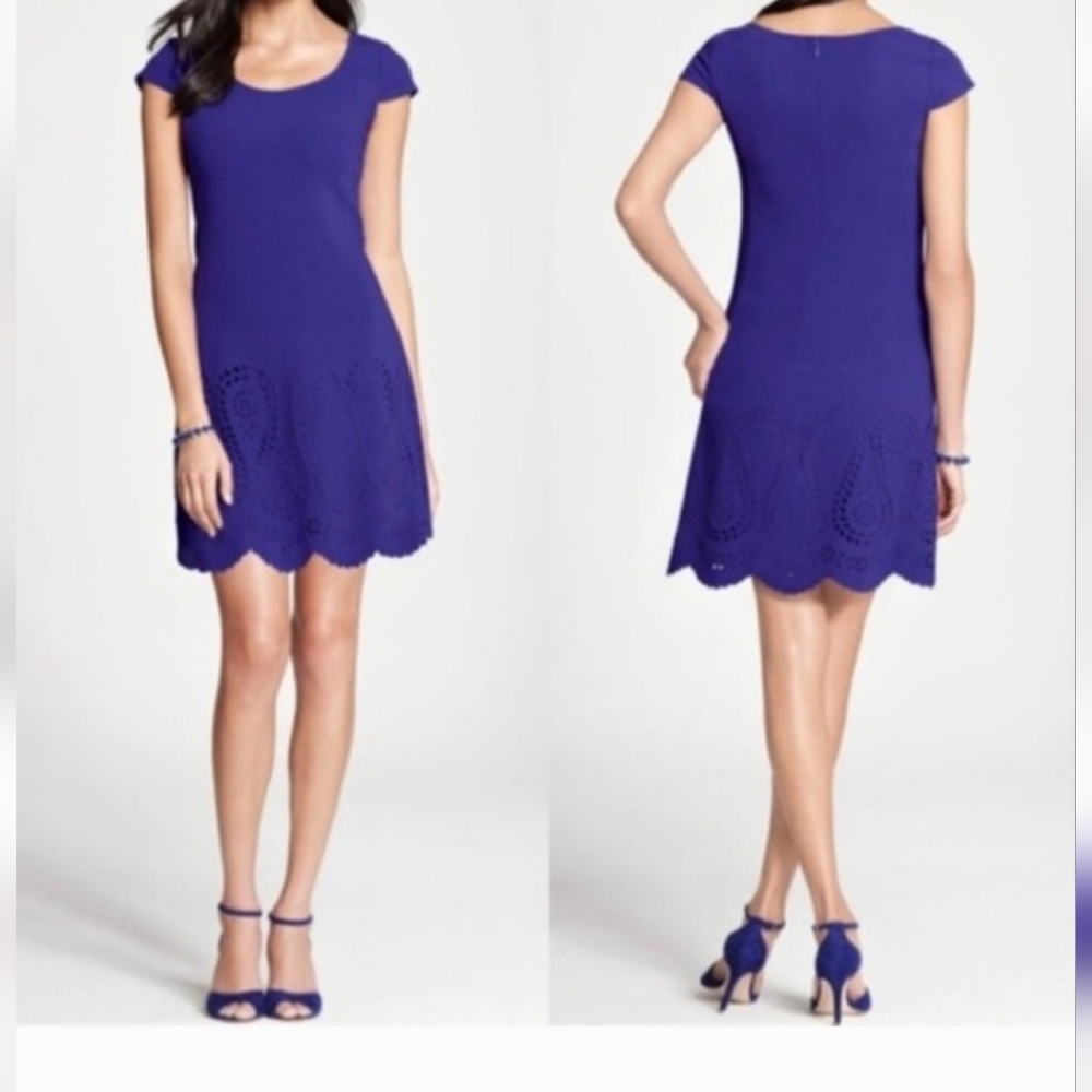 Ann Taylor Mini Dress, Blue Purple, Laser Cutout, Lined Sz 8 EUC, Wedding guest